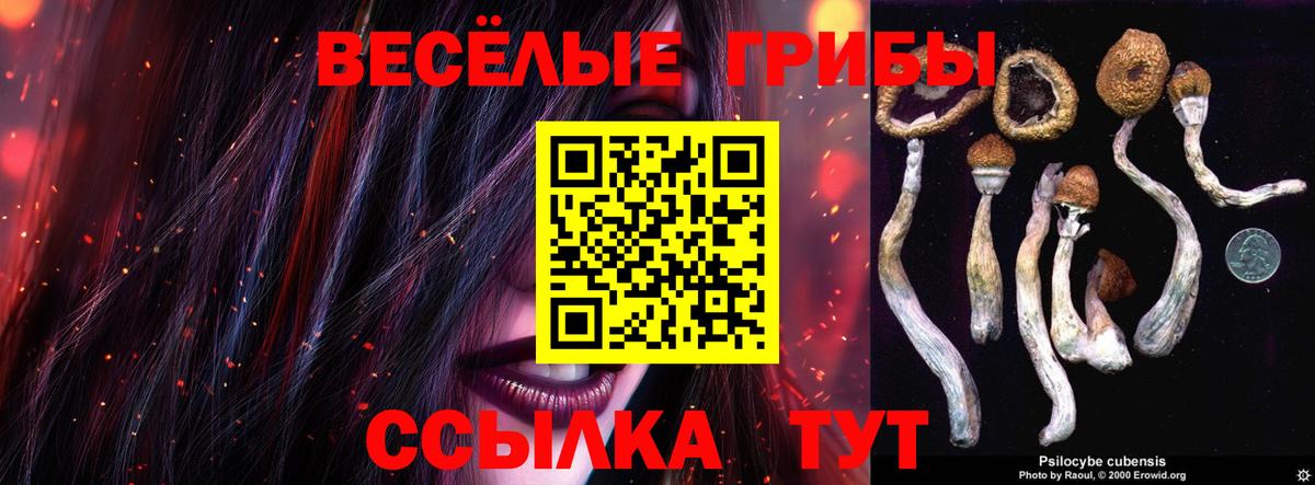 Галлюциногенные грибы Magic Shrooms  Вход с VPN  Новочеркасск 